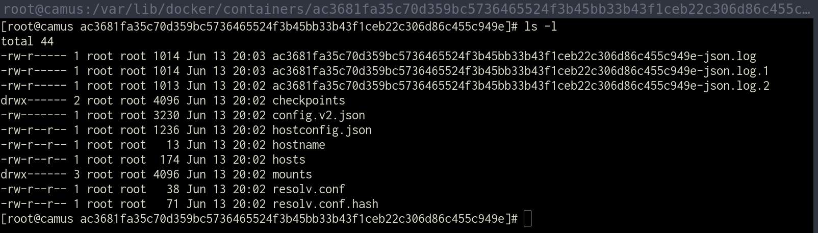 how-to-delete-docker-container-log-files-windows-or-linux-jon-gallant